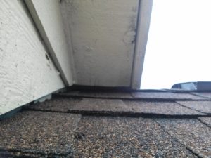 bat access point along roof in eves