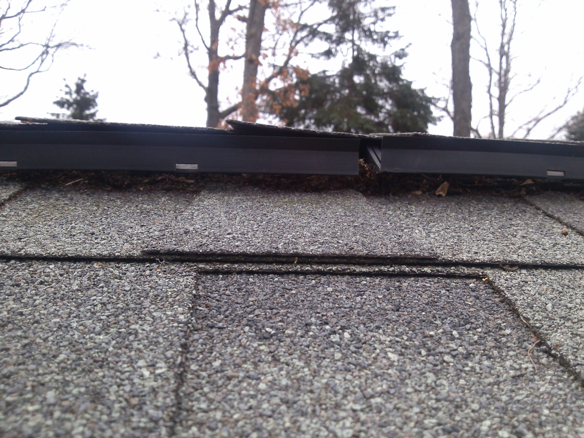 Bats getting into ridge vents