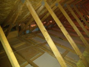 bat guano feces removed from attic